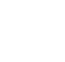 PROTEMA Logo weiß